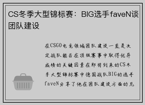 CS冬季大型锦标赛：BIG选手faveN谈团队建设