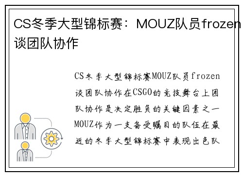 CS冬季大型锦标赛：MOUZ队员frozen谈团队协作